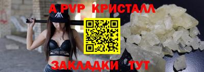 стафф Камышлов