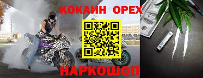 стафф Камышлов