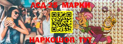 стафф Камышлов