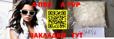стафф Камышлов