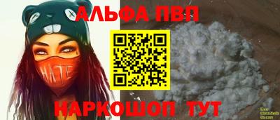 стафф Камышлов