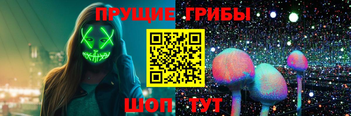 Галлюциногенные грибы Cubensis Евпатория